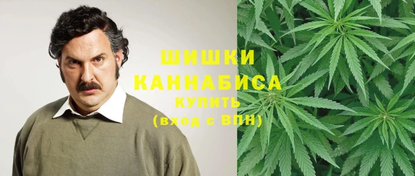 эйфоретик Верхний Тагил